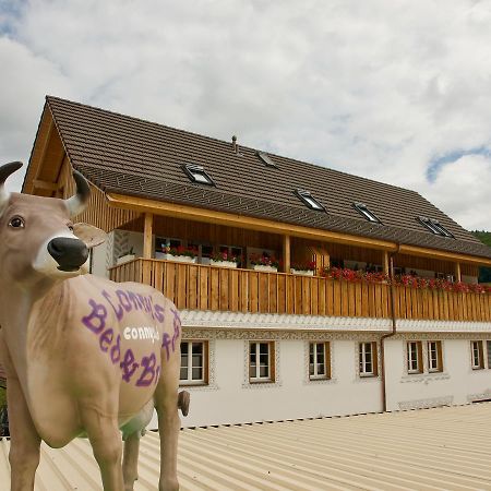 Conny'S B&B Niederweningen Bagian luar foto