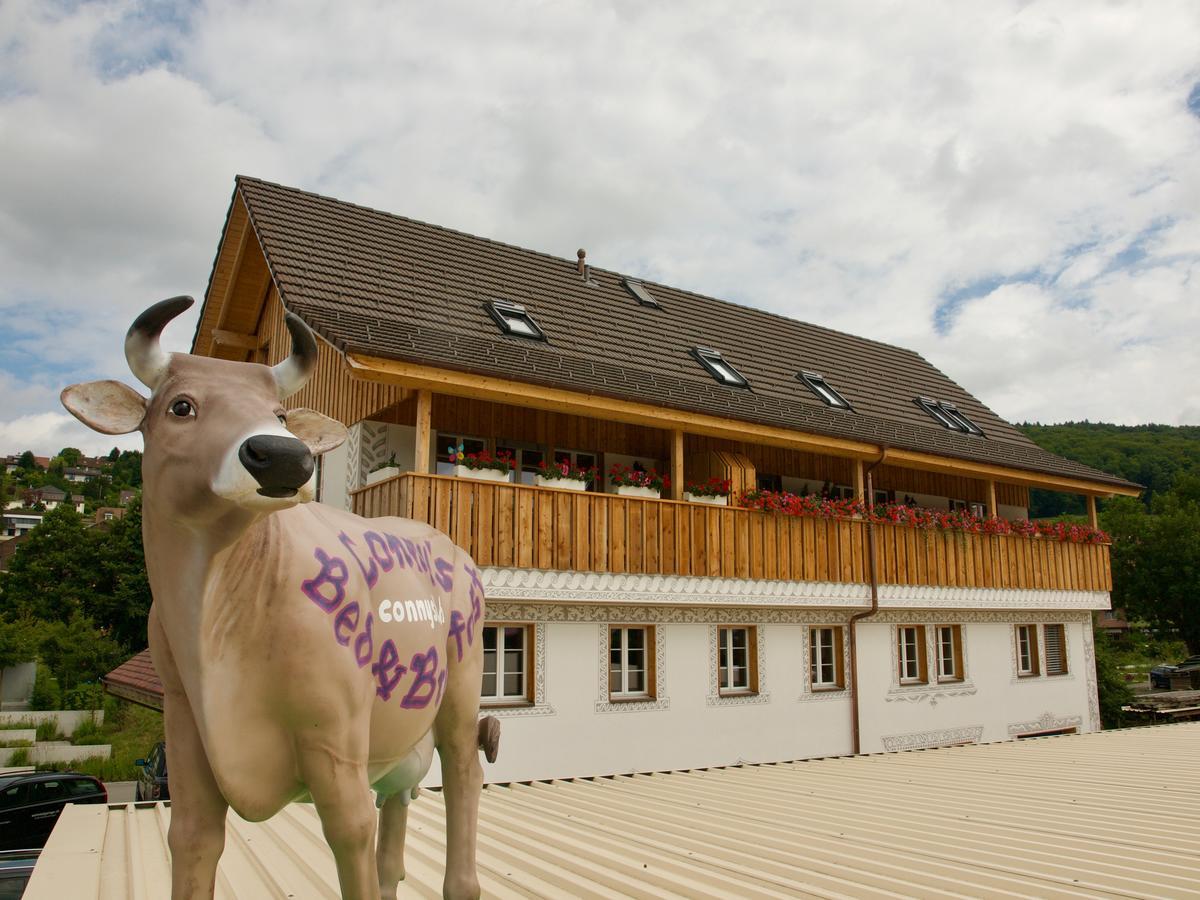 Conny'S B&B Niederweningen Bagian luar foto