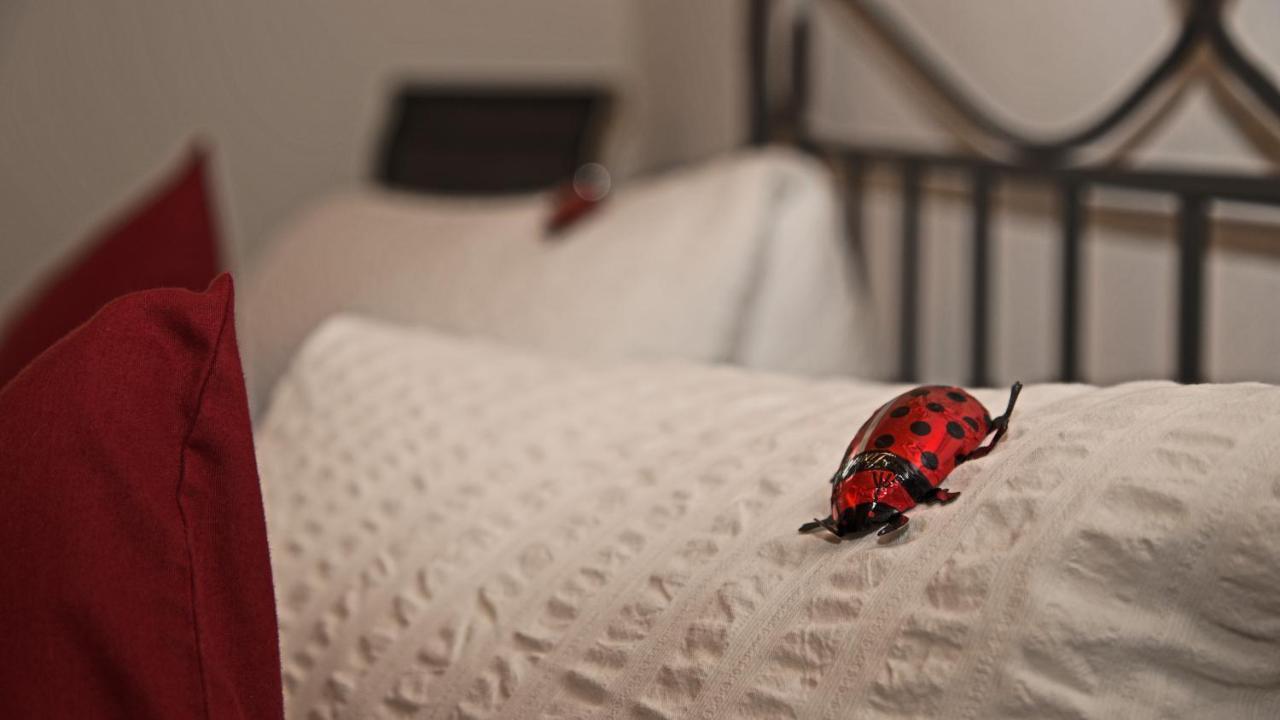 Conny'S B&B Niederweningen Bagian luar foto